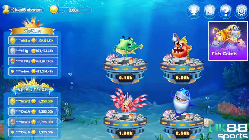 Bắn cá Fish Catch có hướng dẫn vô cùng cụ thể Bắn cá Fish Catch có hướng dẫn vô cùng cụ thể