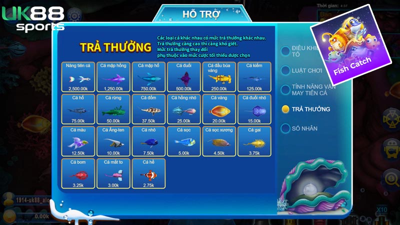 Tham gia sự kiện Fish Cat để học hỏi kinh nghiệm Tham gia sự kiện Fish Catch để học hỏi kinh nghiệm